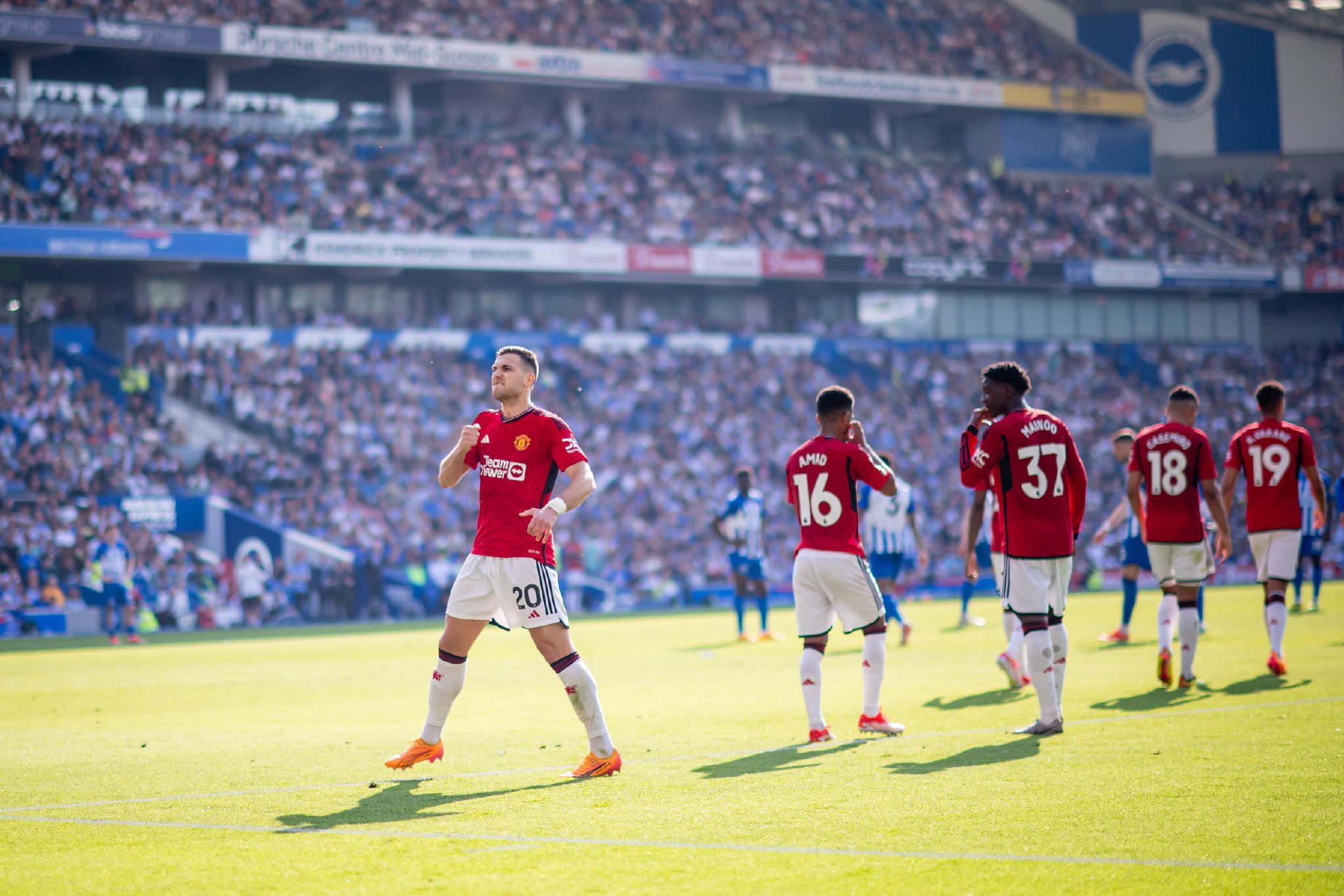 他们凭借独 他们凭借独